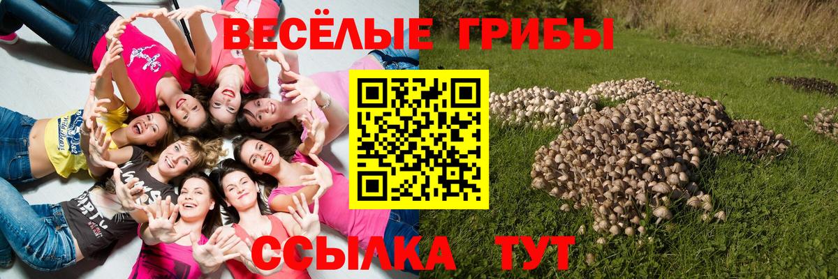 Псилоцибиновые грибы Magic Shrooms Узловая